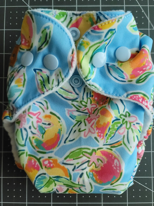 Peaches on Blue AIO Newborn Diaper